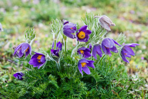 052