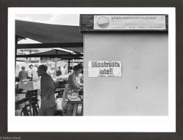 8.-Misstrosta-inte